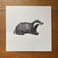 Image 5 of Little Badger