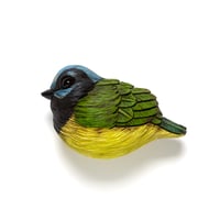 Image 1 of Mini Bird: Green Jay by Calvin Ma 