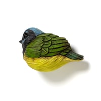 Image 3 of Mini Bird: Green Jay by Calvin Ma 