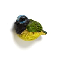 Image 2 of Mini Bird: Green Jay by Calvin Ma 