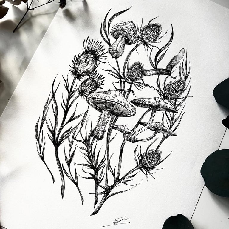 PRINT A4 - Chardons et champignons