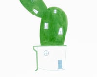 Image 4 of CADAQUES CACTUS