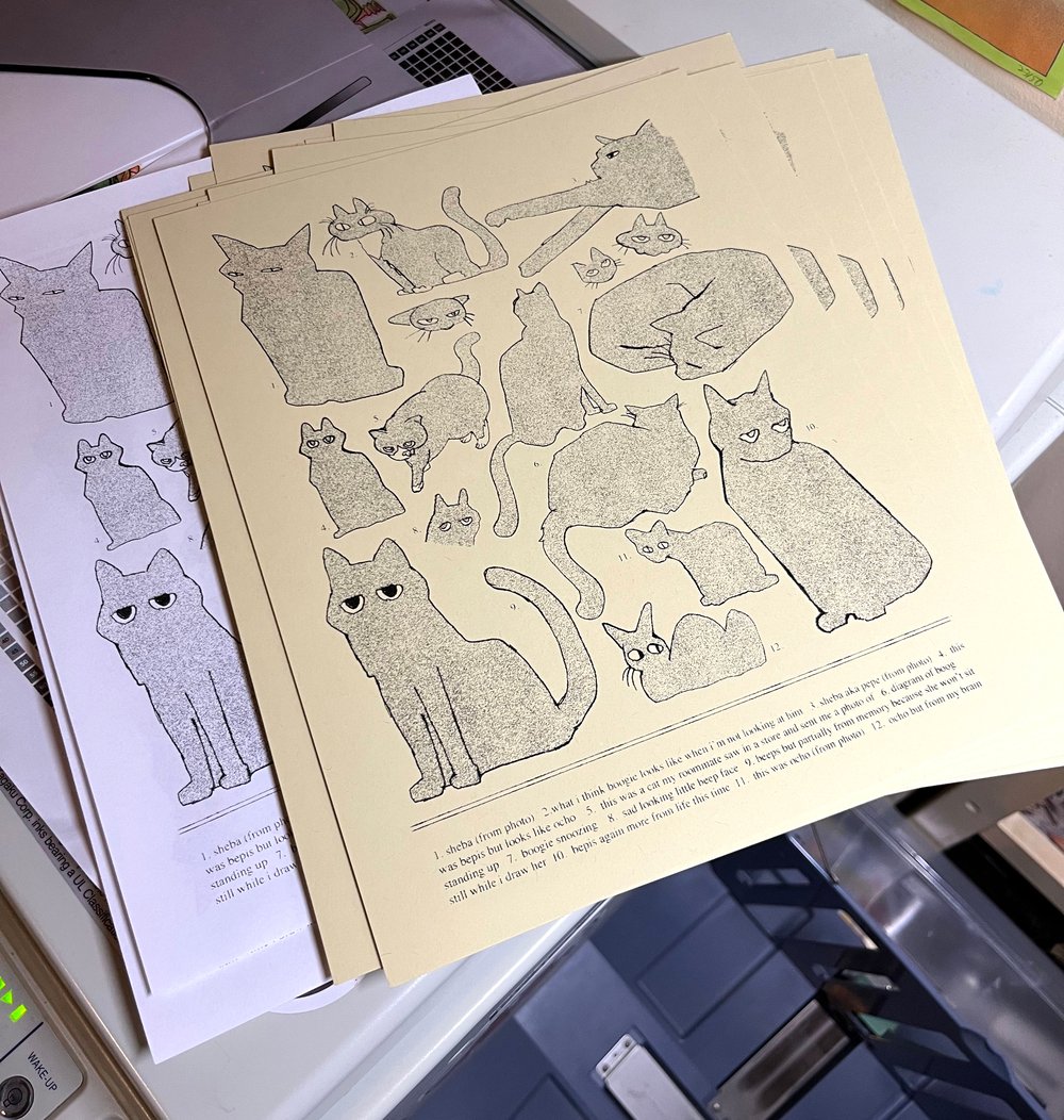 Image of Cat Observation Risograph