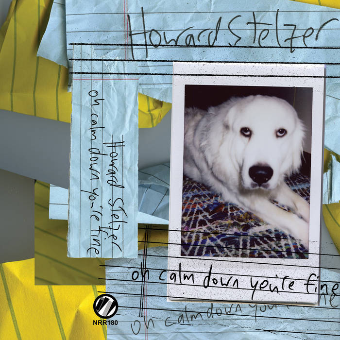 Image of Howard Stelzer