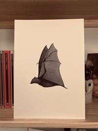 Image 1 of Bat