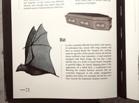 Image 2 of Bat