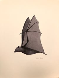 Image 3 of Bat