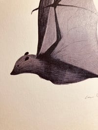 Image 4 of Bat