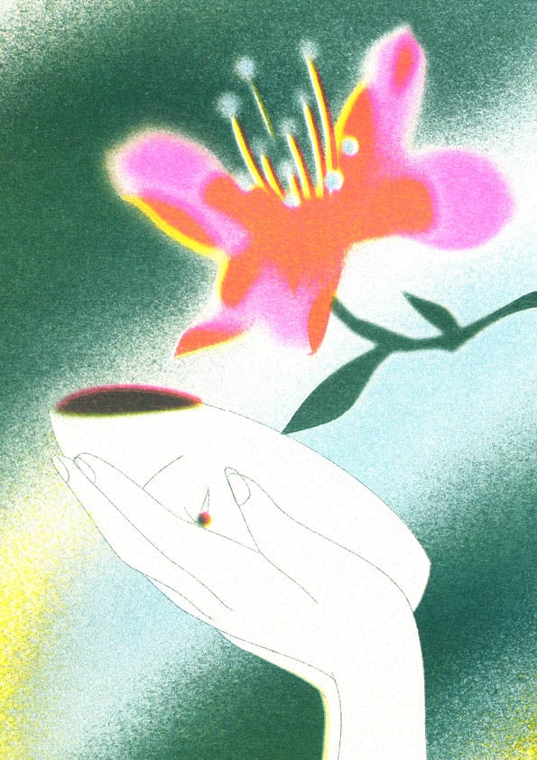 Image of Sauvage — Marine Buffard