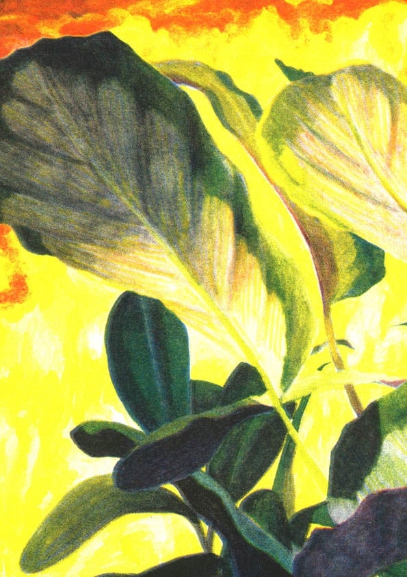 Image of Sauvage — Manon Molesti