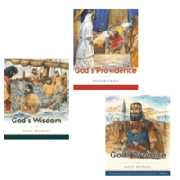 Image 1 of Gods Promise, Gods Providence Gods Wisdom by Sally Michael