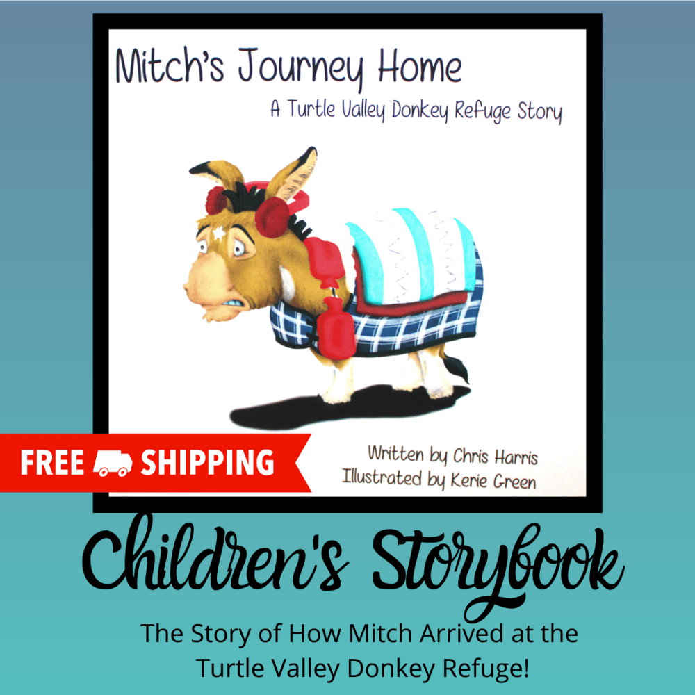 Image of Mitch's Journey Home Mini Book