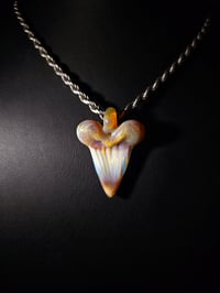 Image 1 of Realism shark tooth pendant. 🦈