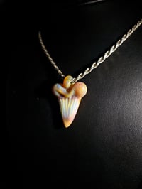 Image 2 of Realism shark tooth pendant. 🦈