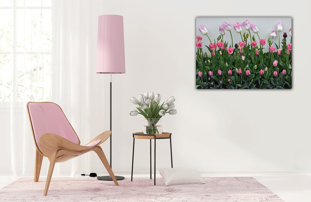 Image of Garden tulips