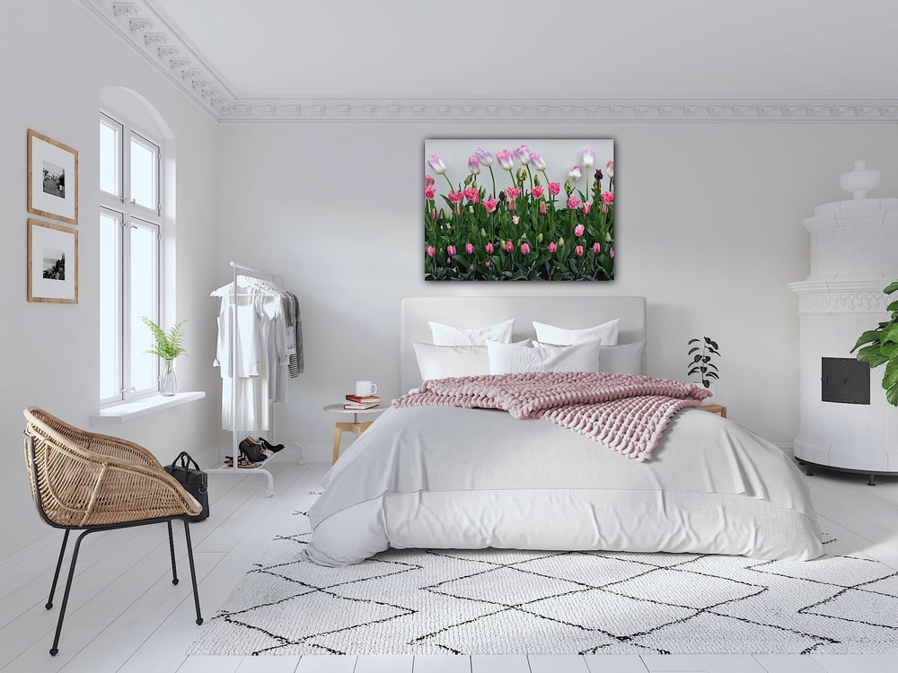 Image of Garden tulips