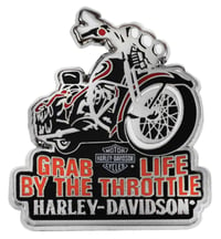 Throttle Life Pin