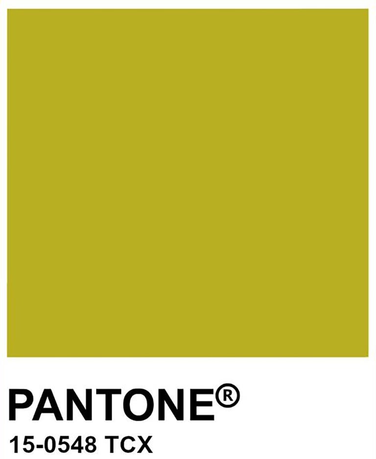 Chartreuse "Super Selene" Dressing Gown Image 3