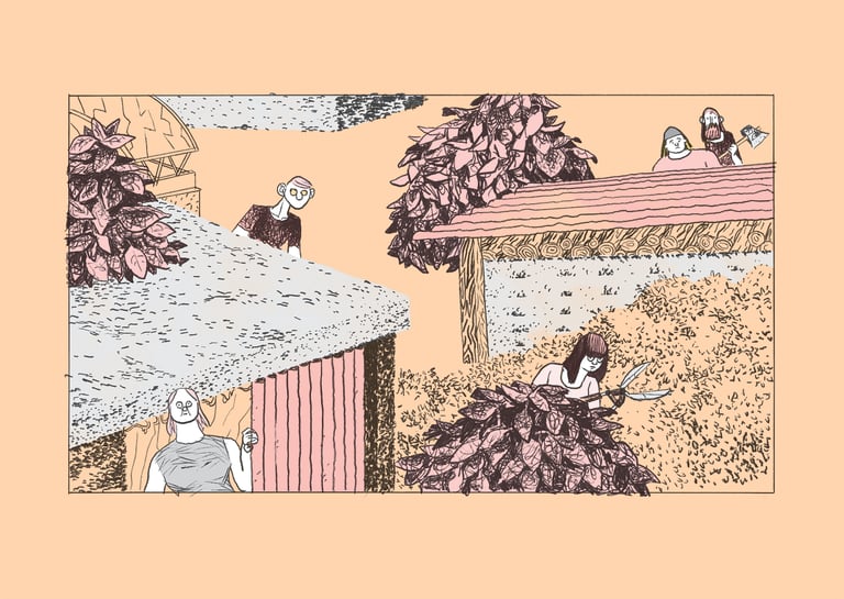 Le Terrain
