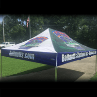 Image 3 of 10X15 CUSTOM CANOPY