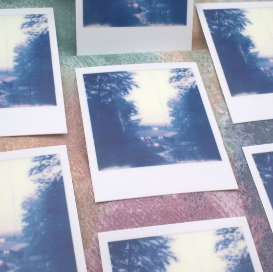 Polaroid House Sticker