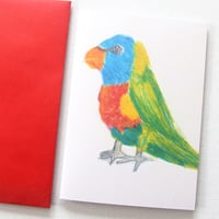 Image 1 of Blank Card. Art Card. Flynn the Rainbow Lorikeet.