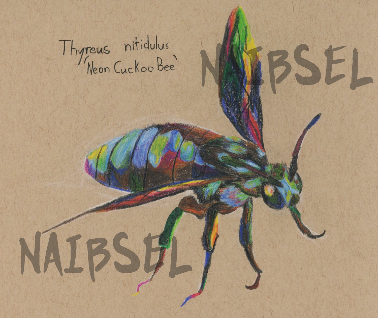 NEON CUCKOO BEE - PRINT