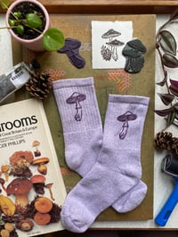 Image 1 of Wood Mushroom Socks