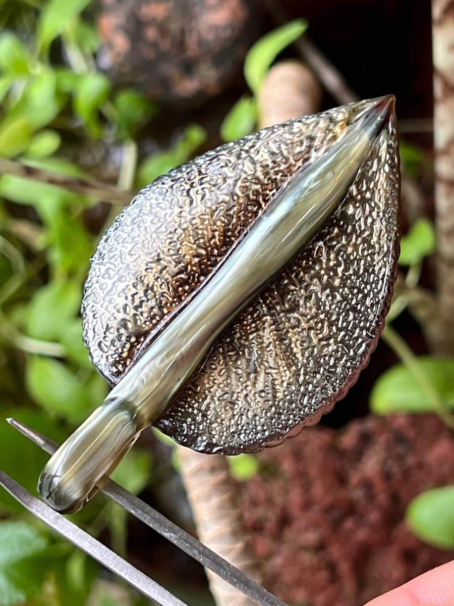 Image of Wet Metal Leaf Pendant