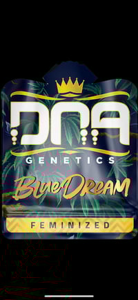 Image 1 of Blue Dream