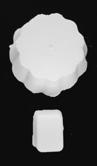 Image 1 of  Jumbo seashell