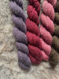 Image 4 of Mini Bundle #3 - 100G Hand Dyed Kent Romney Mini Skeins