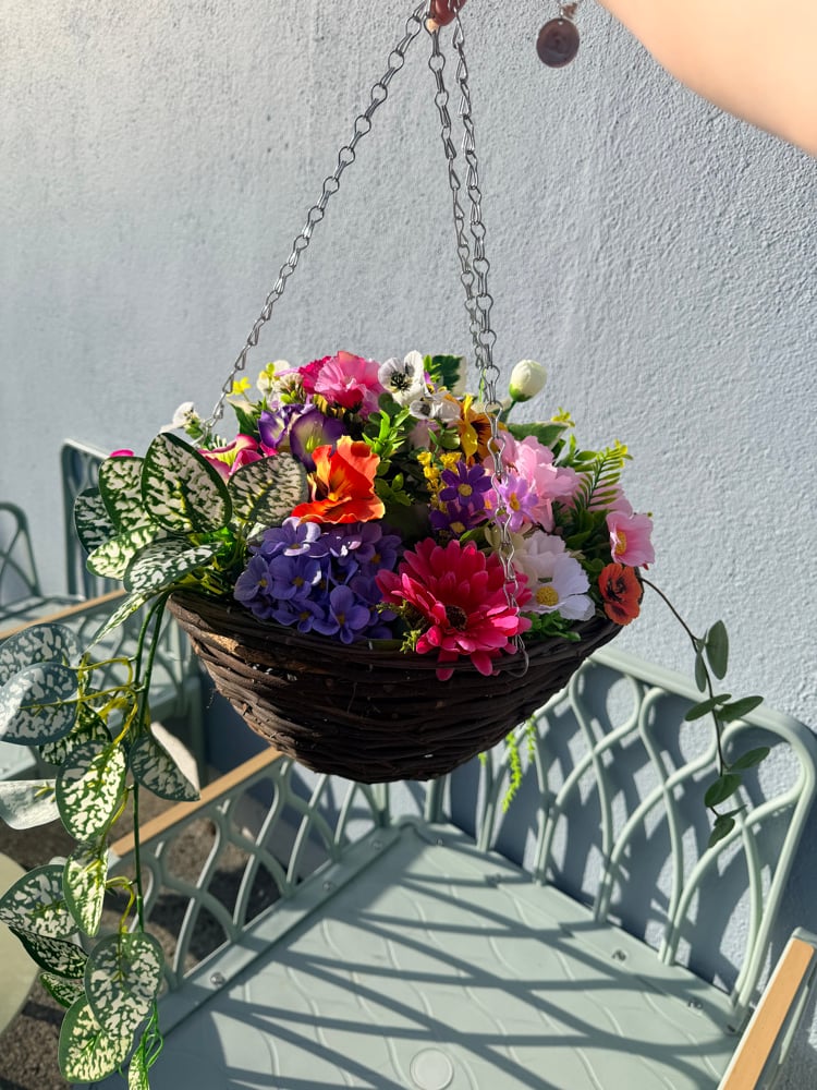 Image of Special Offer Hanging Basket 