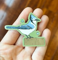 Image 2 of Backyard Birds Sticker Pack