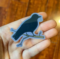Image 5 of Backyard Birds Sticker Pack