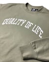 Varsity Crewneck In Eucalyptus