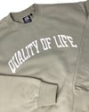 Varsity Crewneck In Eucalyptus