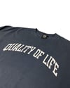Oversized Varsity Tee In Indigo