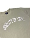 Oversized Varsity Tee In Eucalyptus
