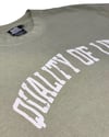 Oversized Varsity Tee In Eucalyptus