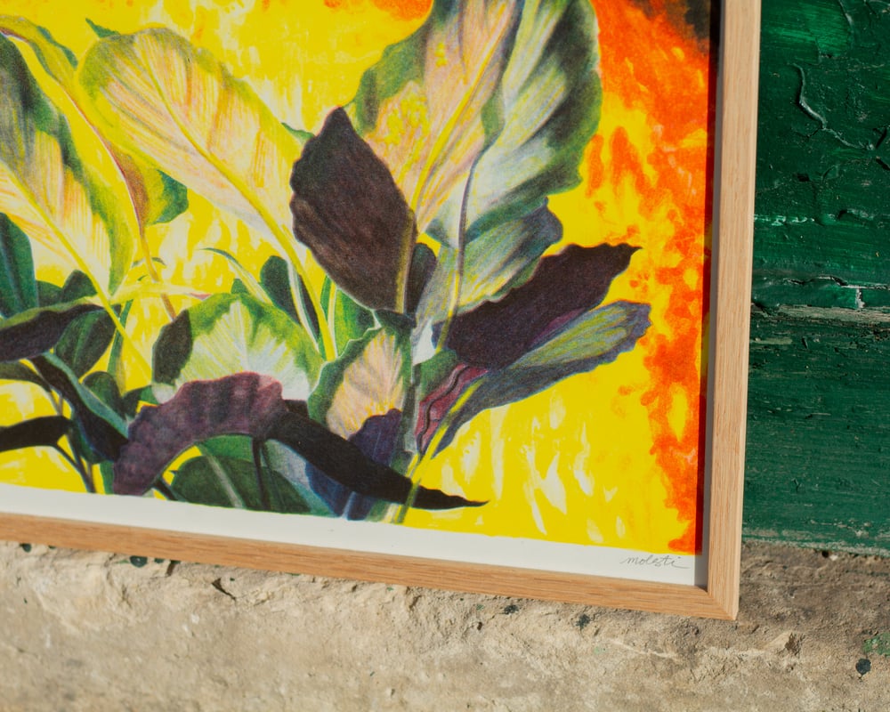 Image of Sauvage — Manon Molesti