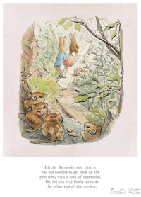 Image 1 of Beatrix Potter "Little Benjamin Said It Was Not Possible"