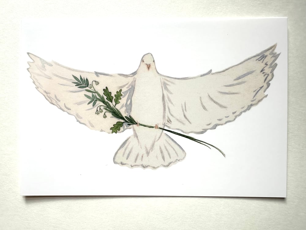 Image of Peace Dove postcard pack