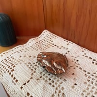 Image 1 of Bronze crab