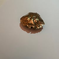 Image 3 of Bronze crab