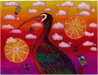 Image 2 of The White Faced Ibis  