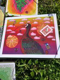 Image 3 of The White Faced Ibis  