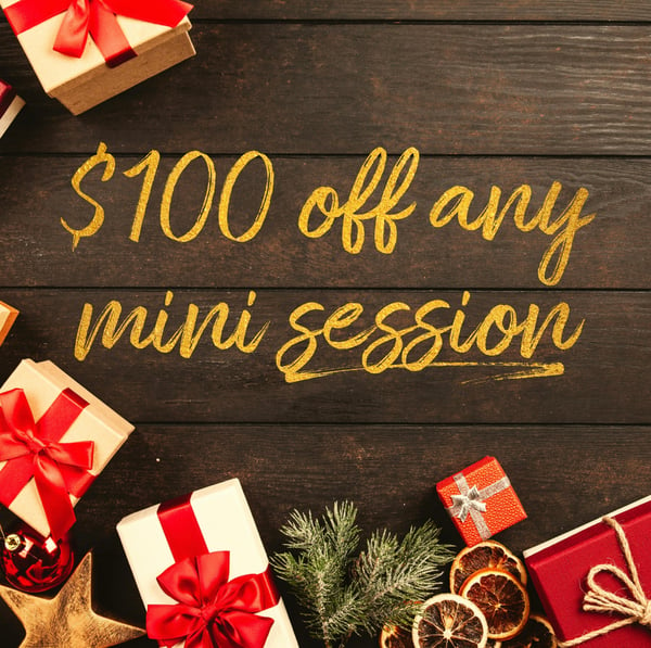 Image of $100 off any mini session