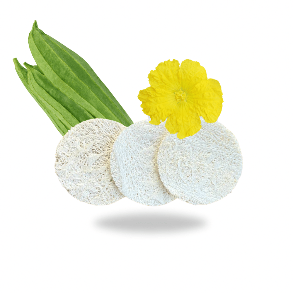 Image of Natural Loofah Face Pads
