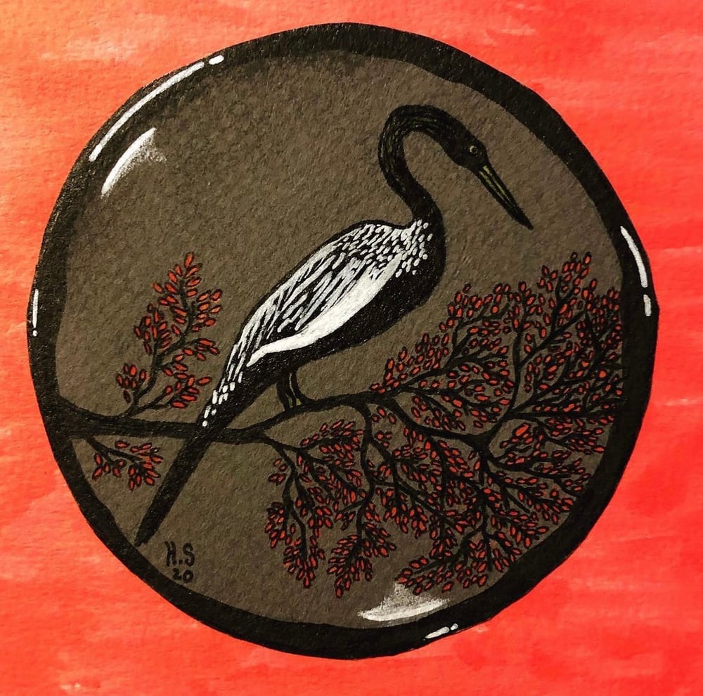 Anhinga 3" sticker